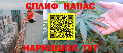 дживик Кингисепп