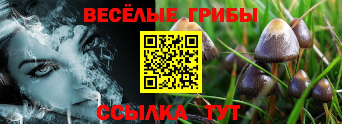 Cocaine Кудрово