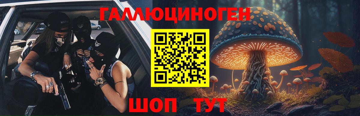 Кудрово  Псилоцибиновые грибы Cubensis  Вход с VPN  где продают наркотики  Галлюциногенные грибы Magic Shrooms 